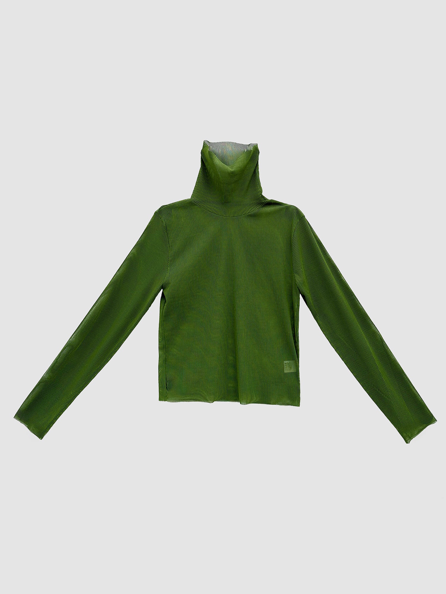 Product detailed view of the green mesh turtleneck showcasing its front detailed designs of the top.